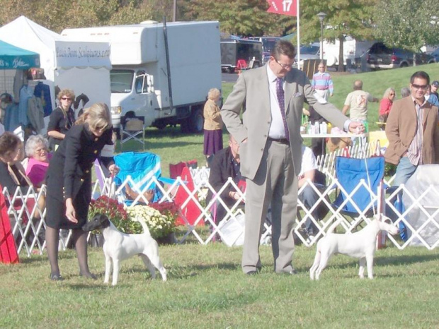 MCKC Open Dog Class 2006