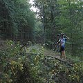 Kolejna przeszkoda do pokonania na środku drogi