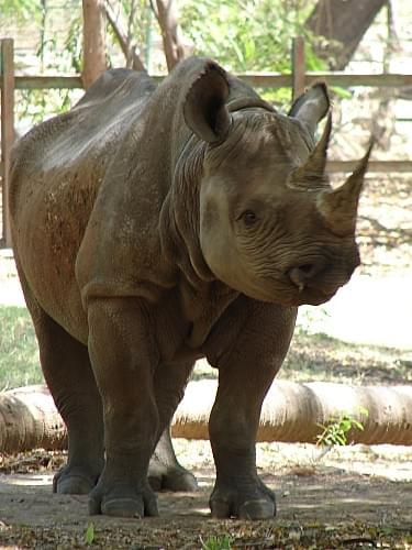 Zoo, Mysore