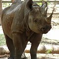 Zoo, Mysore