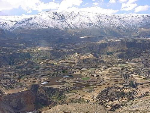 W drodze do Kanionu Colca, Peru