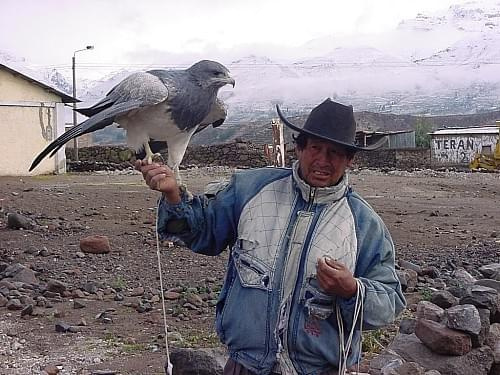 W drodze do Kanionu Colca, Peru