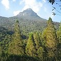 Adam's peak/Sri Pada (2243 mnpm)