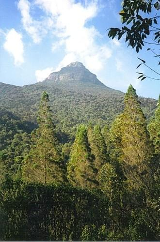 Adam's peak/Sri Pada (2243 mnpm)