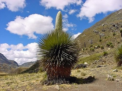 Cordilliera blanca, Peru