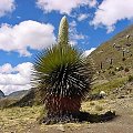 Cordilliera blanca, Peru