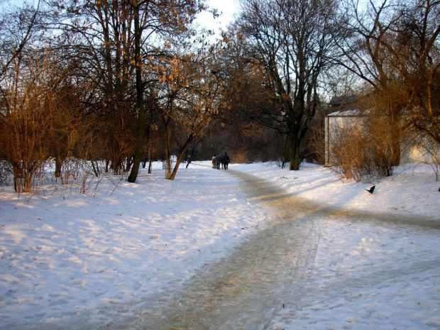 Park Skaryszewski w Warszawie w puchowej szacie