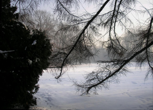 Park Skaryszewski w Warszawie w puchowej szacie