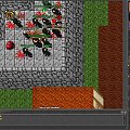 Test server #tibia #TestServer #TibiaTest