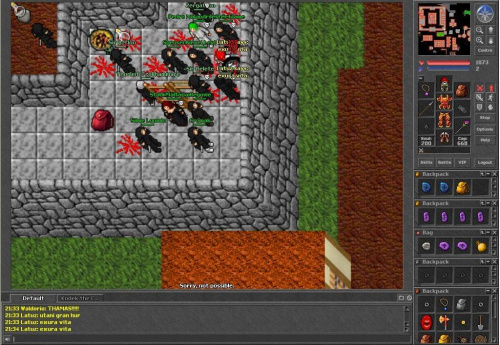 Test server #tibia #TestServer #TibiaTest