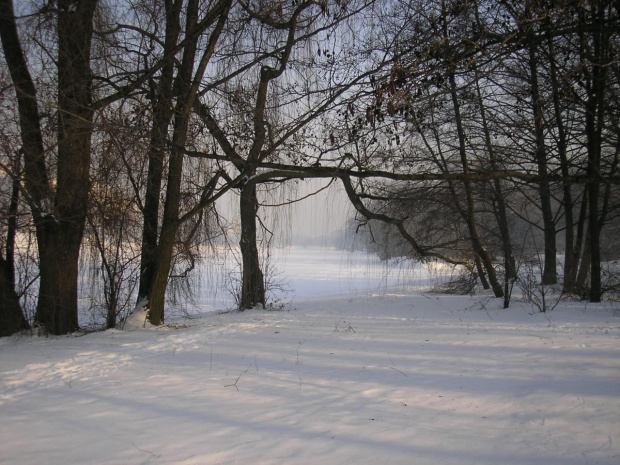 Park Skaryszewski w Warszawie w puchowej szacie