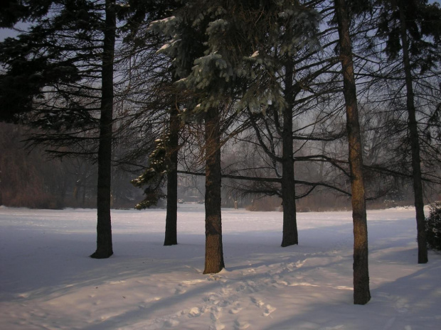 Park Skaryszewski w Warszawie w puchowej szacie