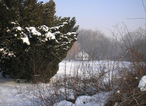 Park Skaryszewski w Warszawie w puchowej szacie