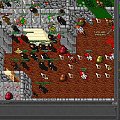 Test server #tibia #TestServer #TibiaTest