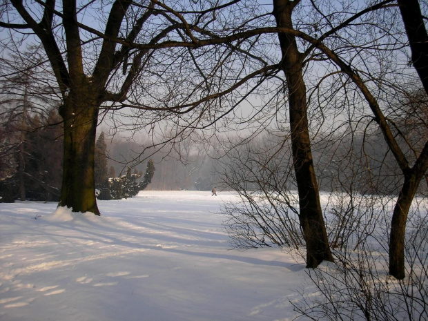 Park Skaryszewski w Warszawie w puchowej szacie