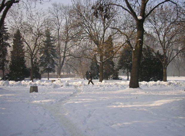 Park Skaryszewski w Warszawie w puchowej szacie