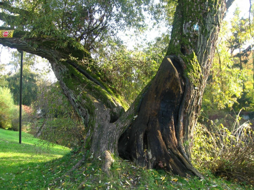 Zelazowa Wola-jesien 2006