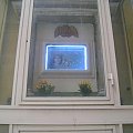 Neonowe kapliczki Matki Boskiej charakterystyczne dla Neapolu