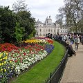 wycieczka do Londynu, przez Amsterdam i Brukselę - maj 2006