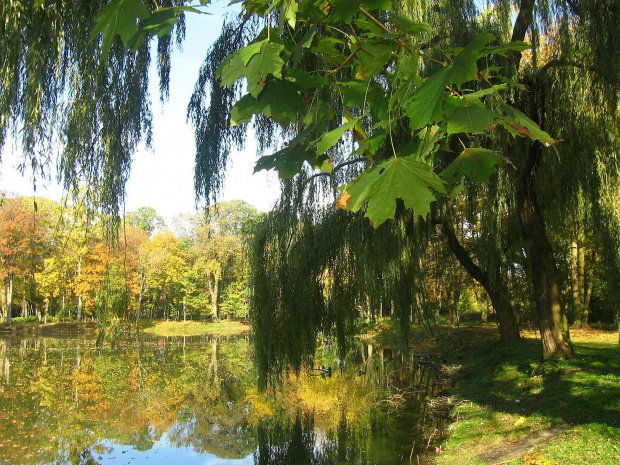 Jesień w Guzowie-pazdziernik2006 #Guzów #park #staw #krajobrazy #jesień