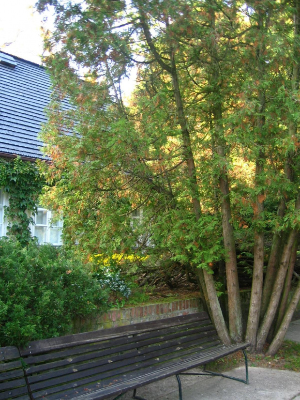 Żelazowa Wola-jesień 2006