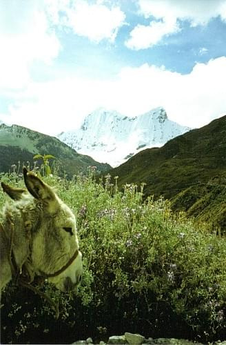 Cordilliera blanca - widok na Nevado Huandoy (prawdopodobnie), Peru