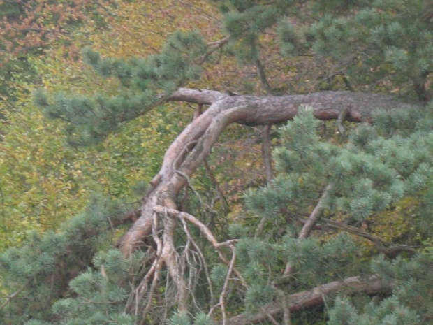 stanczyki i piekna gora 22.10.2006