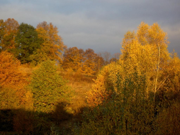 widok z okna pokoju dnia 25.10.2006 rano