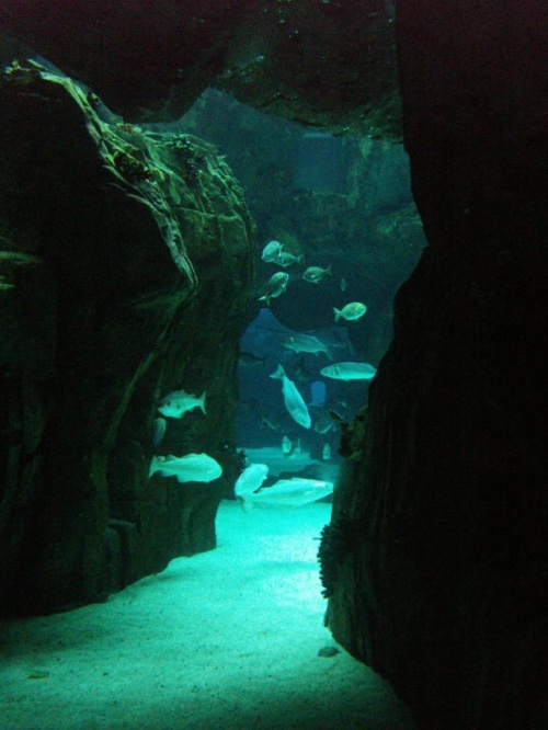 oceanarium