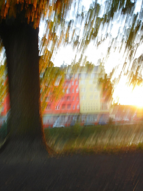#jesień #drzewa #liście #rzeka #lasy #odra