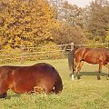 Schowam się, może mnie nie zauważą!