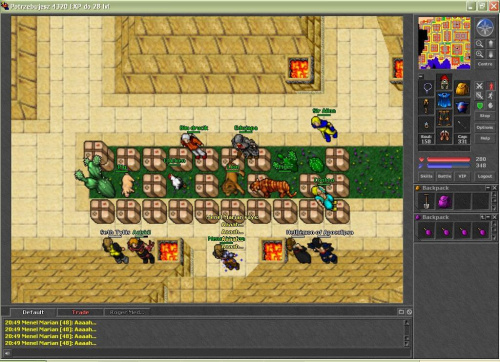 Zoo tibia #tibia #zoo