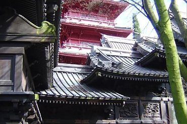 #Belgia #Bruksela #Katedra #MannekenPis