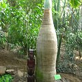Kto tu postawil ten *.*.*.* totem [2] :PP