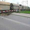 31.10.2006