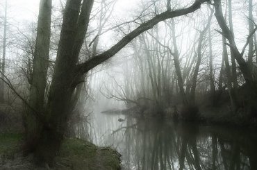 Gothic Ladys 34 #Gothic