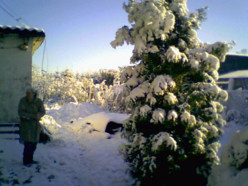 Fotka wykonana pseudoaparatem foto czyli telefonem kom.Samsung