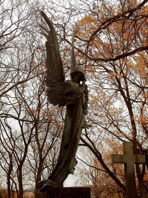 Jeden z piekniejszych pomnikow Rossy na grobie Izy Samolewiczowny. Nagrobek to lekko unoszaca sie postac aniola. Zrywa lancuchy laczace go z ziemia.Autor rzezby Leopold Wasilkowski #RossaCmentarz