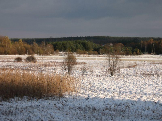 Praktycznie Ziemia Wieluńska