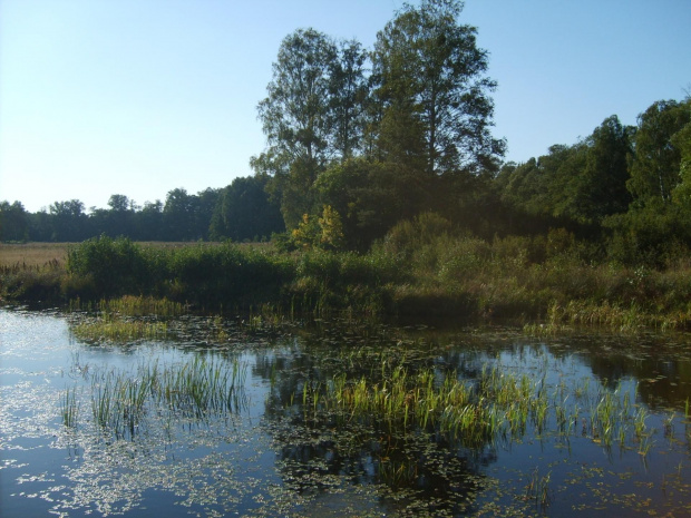 Jeziorko, a móze staw... ?