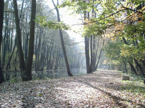 Niebieskie Źródła sceneria jesienna w Tomaszowie Mazowieckim #NiebieskieŻródła #tomaszów