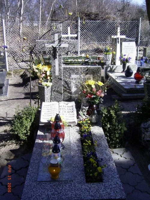 Maciuś's grave