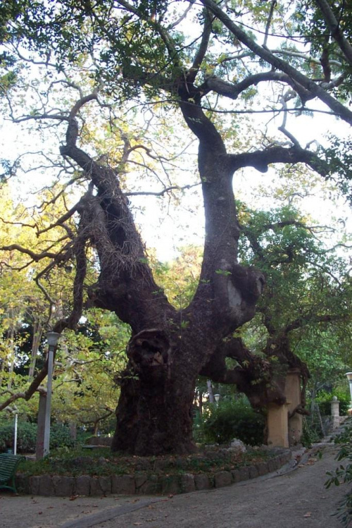 Park Rodini - Rodos