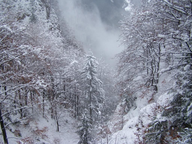 PIENINY- SROMOWCE NIżNE 2006