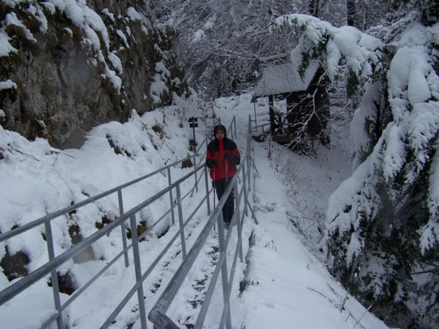 PIENINY- SROMOWCE NIżNE 2006