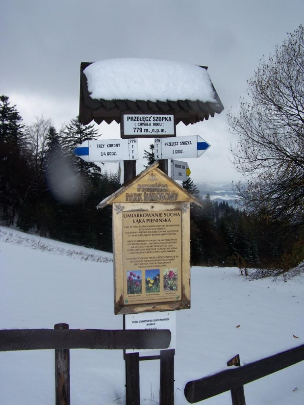 PIENINY- SROMOWCE NIżNE 2006