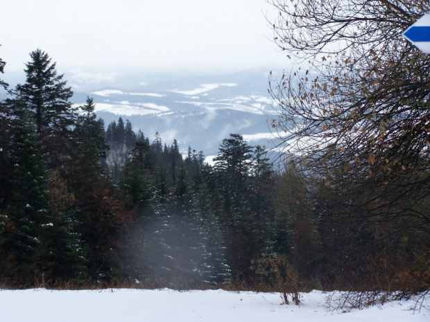 PIENINY- SROMOWCE NIżNE 2006