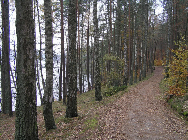 Szlak czerwony nad j. Dąbrowskim