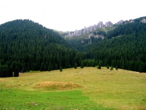 #góry #Zakopane #Tatry
