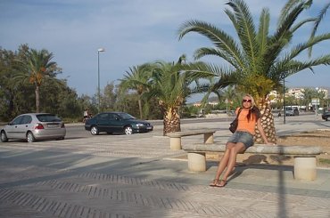 #Alcudia #Majorka #palmy